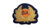 Pilot Badges